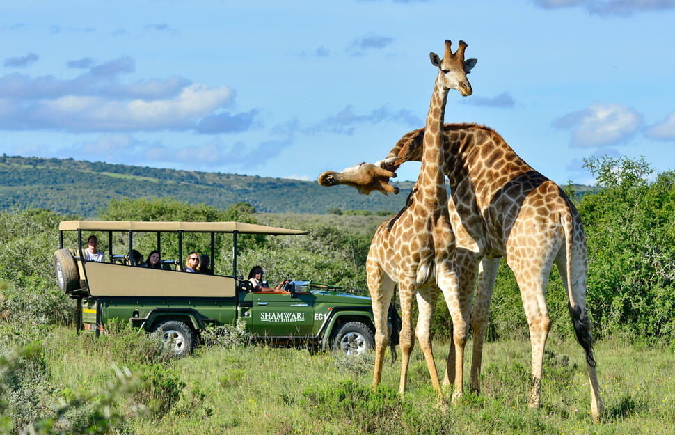 Shamwari-Private-Game-Reserve-10.jpg
