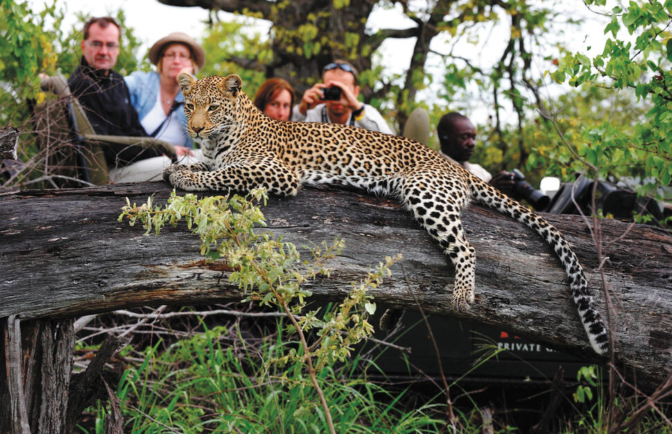 Motswari-Private-Game-Reserve-6.jpg