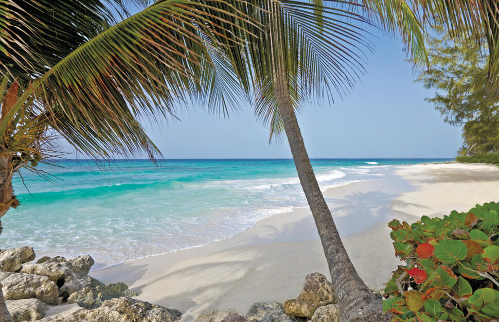 Turtle-Beach-by-Elegant-Hotels-8.jpg