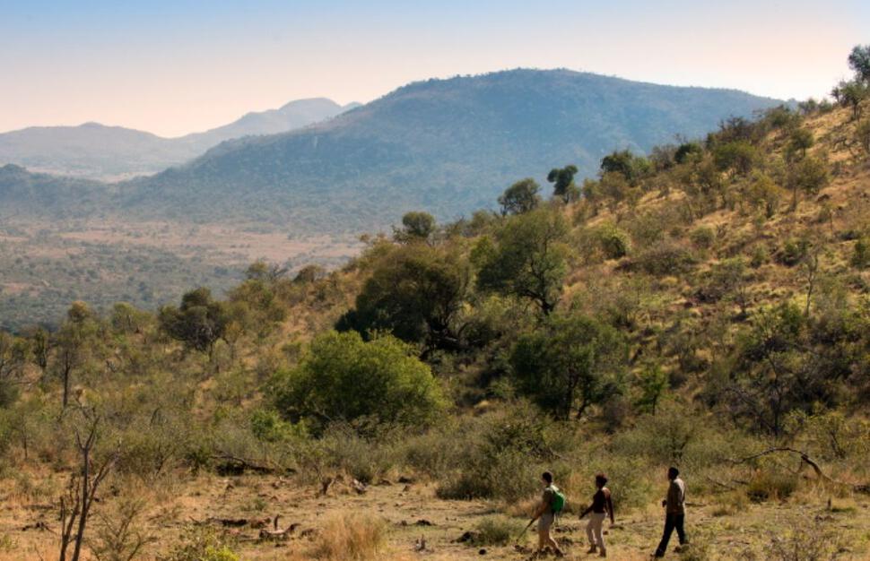 Bakubung-Bush-Lodge-4.jpg