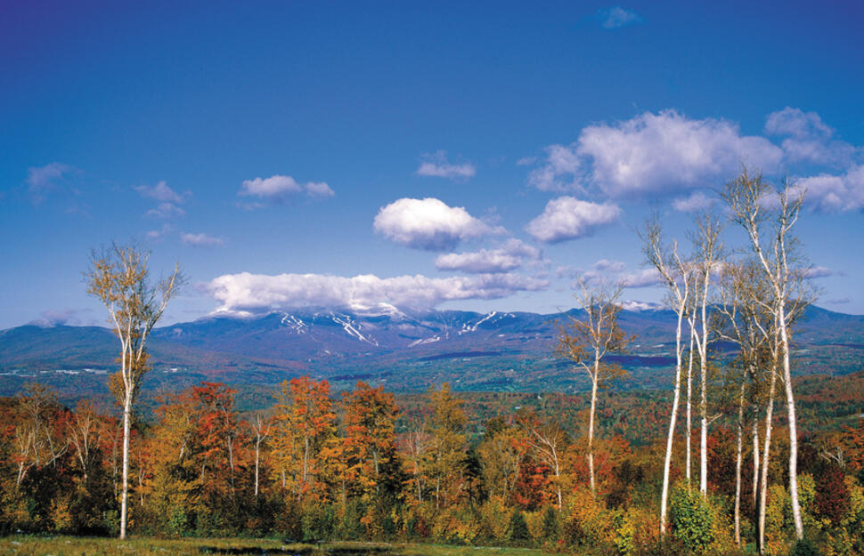 Trapp-Family-Lodge-5.jpg