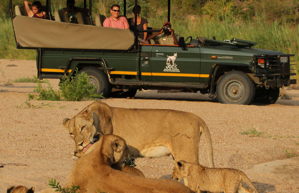 Jock-Safari-Lodge-10.jpg