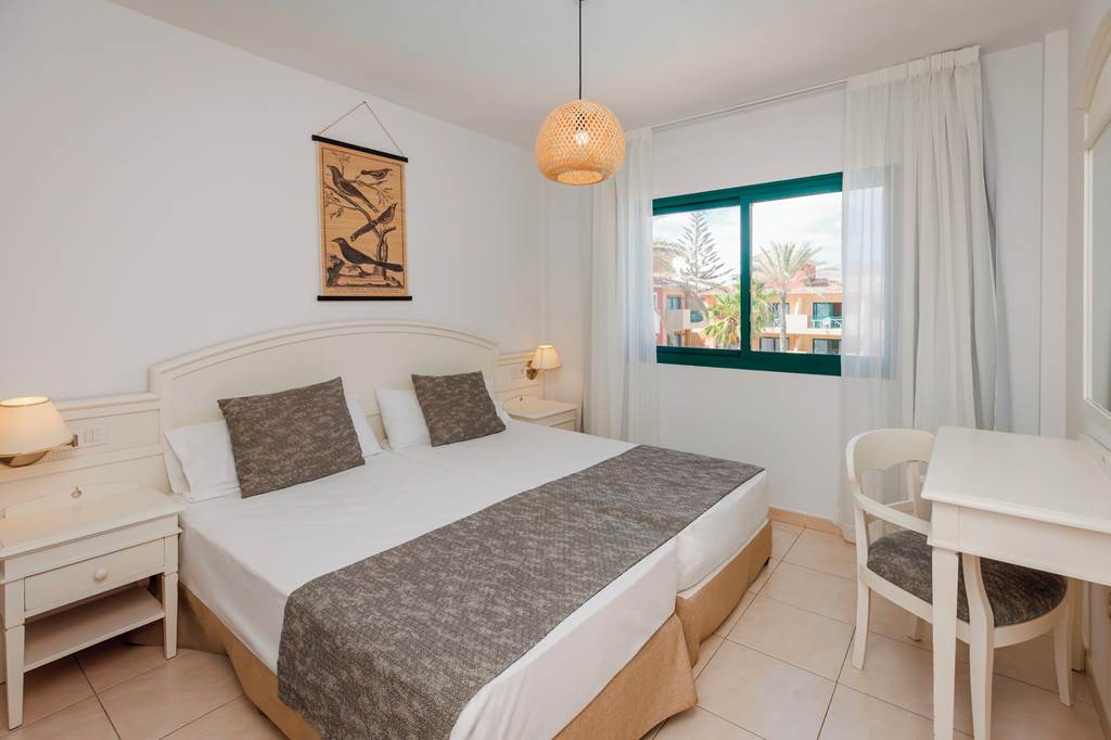 FUE_83107_O7_Aloe_Corralejo_1224_16.jpg