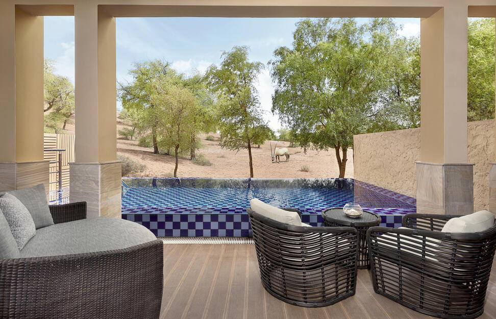 The-Ritz-Carlton-Ras-Al-Khaimah-Al-Wadi-Desert-6.jpg