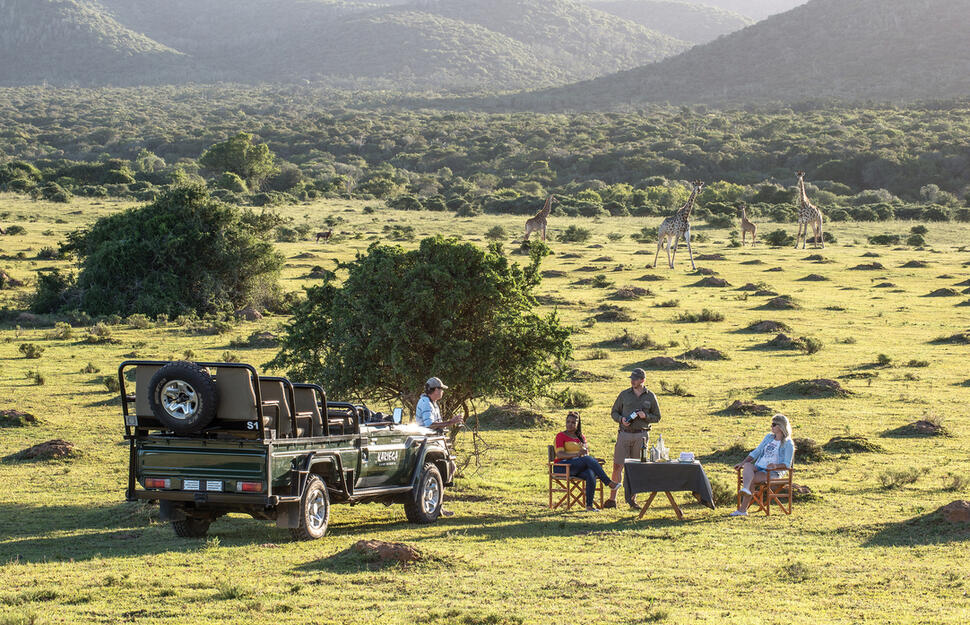 Kariega-Game-Reserve-33.jpg