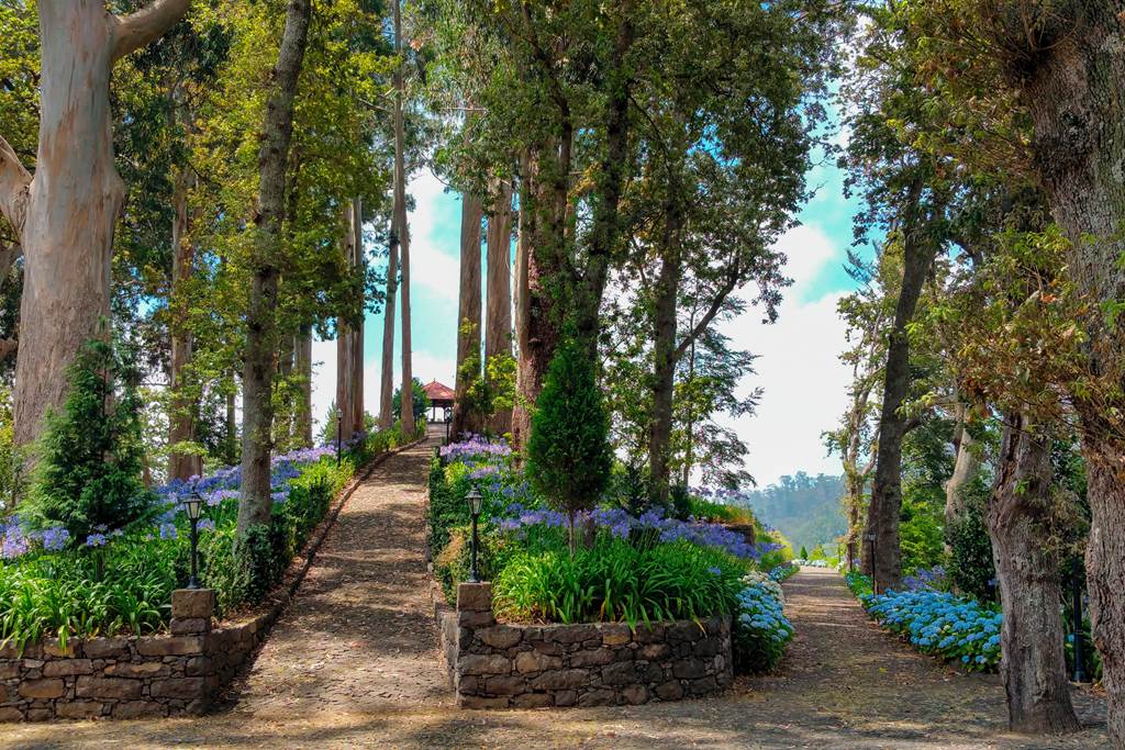 FNC_87924_Hotel_Quinta_Da_Serra_0824_01.jpg