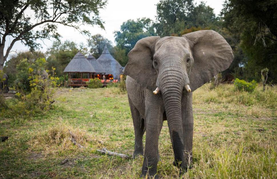 Hoyo-Hoyo-Safari-Lodge-22.jpg