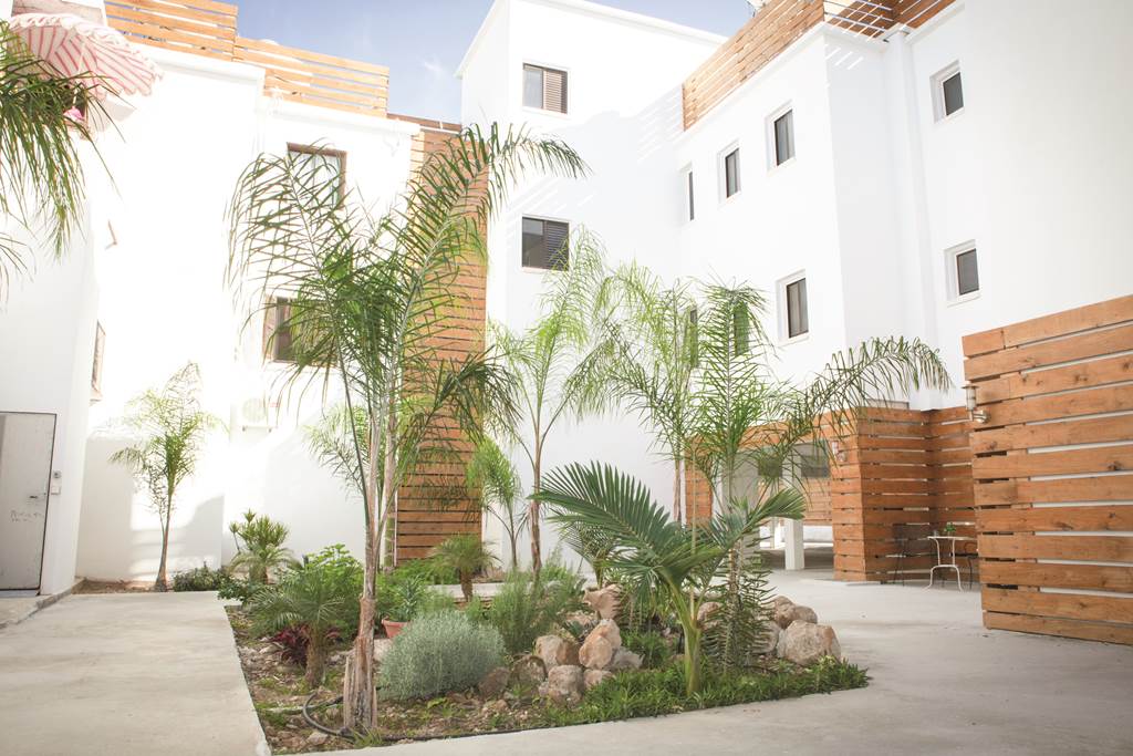 PFO_73740_Alecos_Hotel_Apts_1215_12.jpg