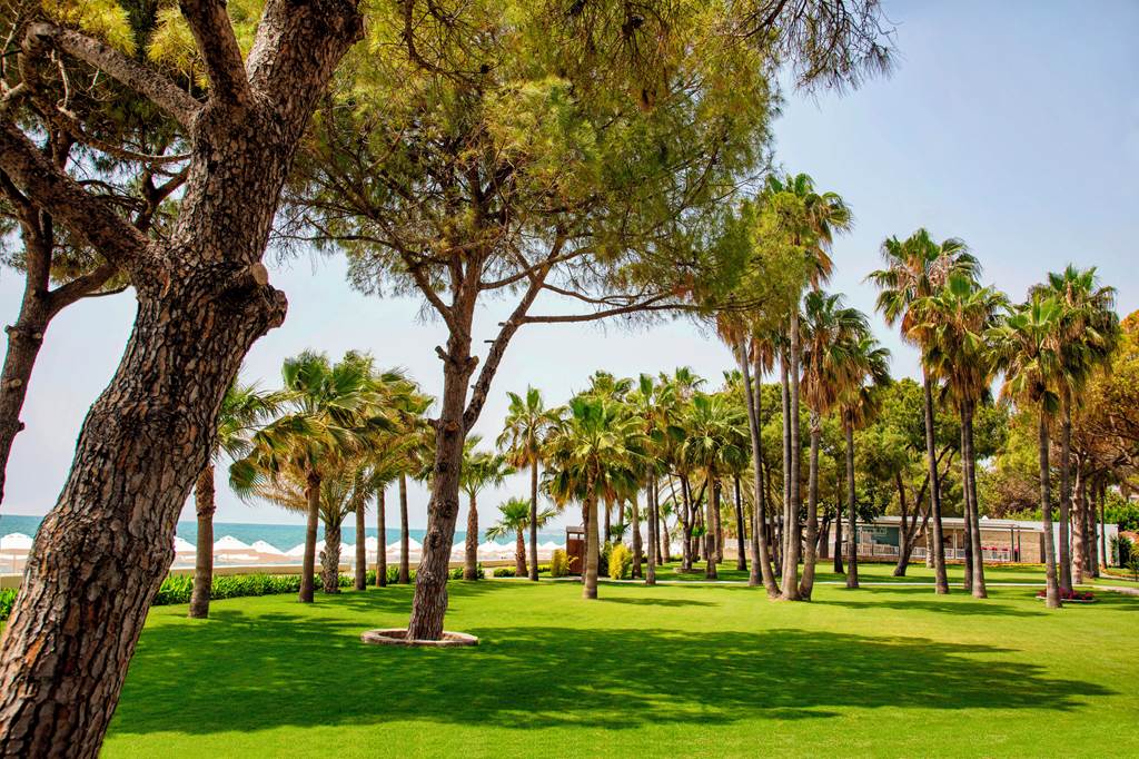 AYT_74039_Acanthus_&_Cennet_Barut_Collection_1223_17.jpg