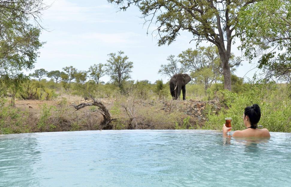 Hoyo-Hoyo-Safari-Lodge-16.jpg
