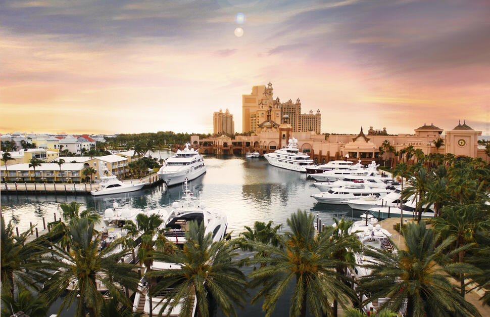 The-Cove-at-Atlantis-14.jpg