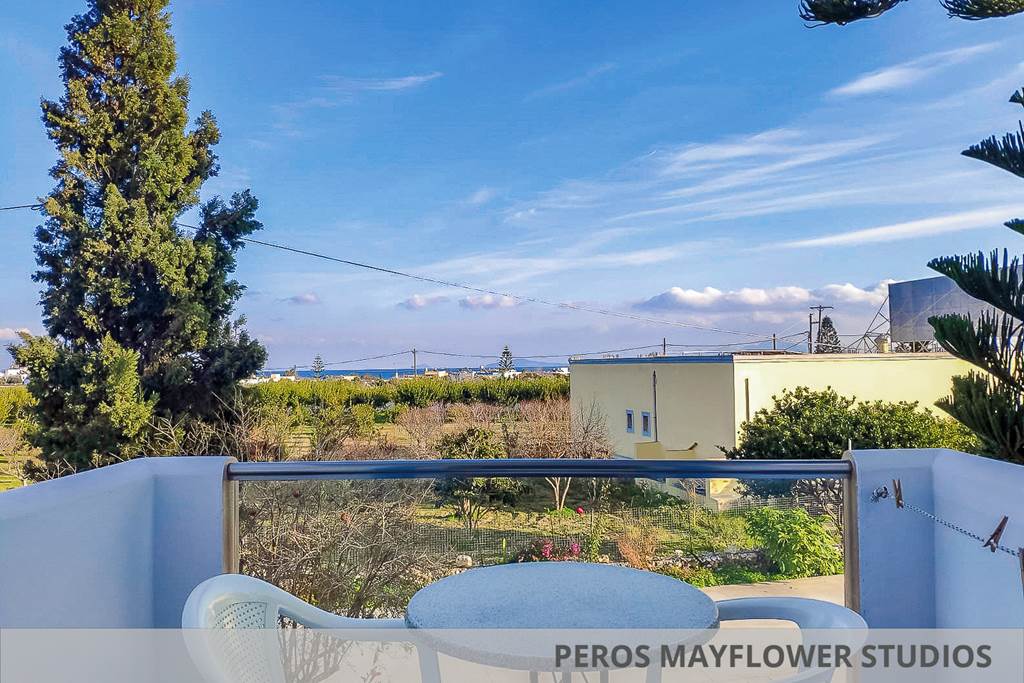 KGS_85748_Peros_Mayflower_Family_Studio_0823_25.jpg