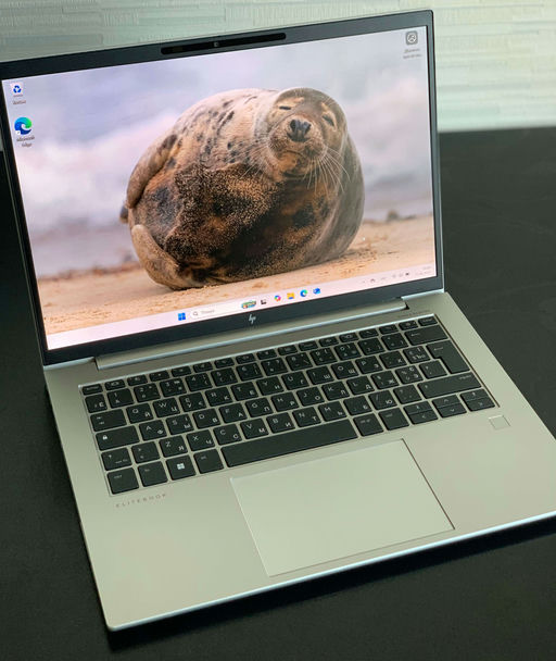 **HP EliteBook 840 G9 (6T128EA)**
