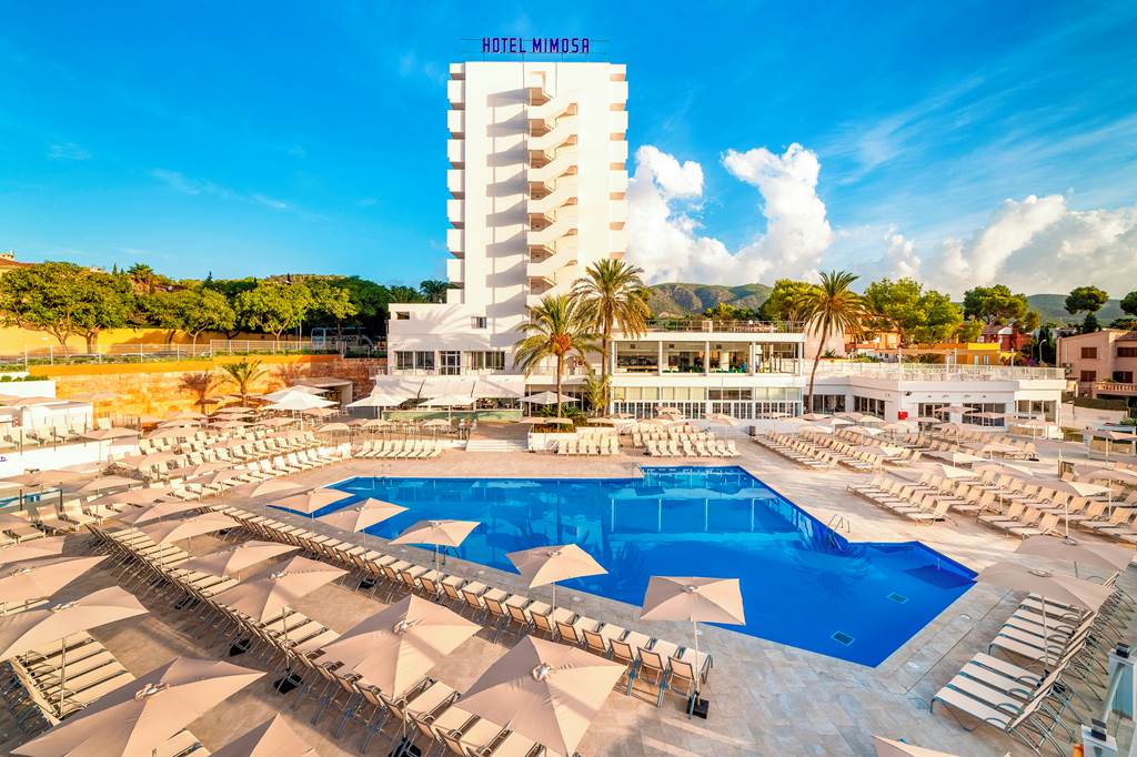 PMI_443_Globales_Mimosa_1218_07.jpg