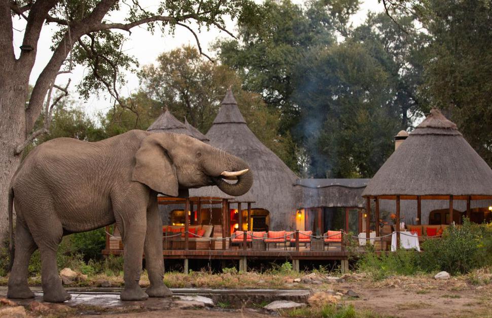 Hoyo-Hoyo-Safari-Lodge-20.jpg