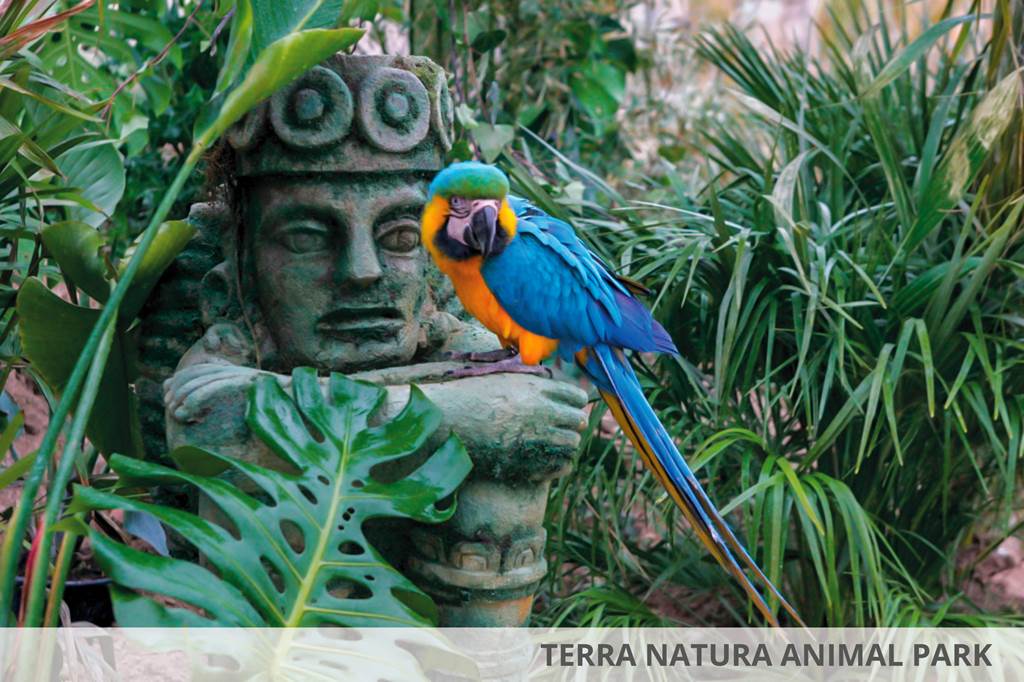 ALC_72808_Magic_Natura_Animal_Waterpark_&_Polynesian_Lodge_Resort_0321_01.jpg