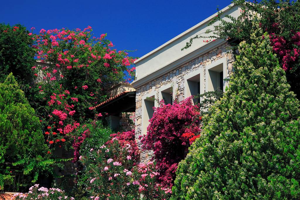 BJV_85213_Zeytinada_Hotel_0323_01.jpg