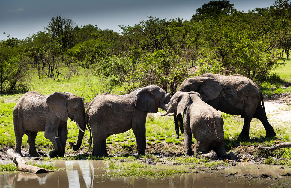 Ulusaba-Rock-Lodge-6.jpg