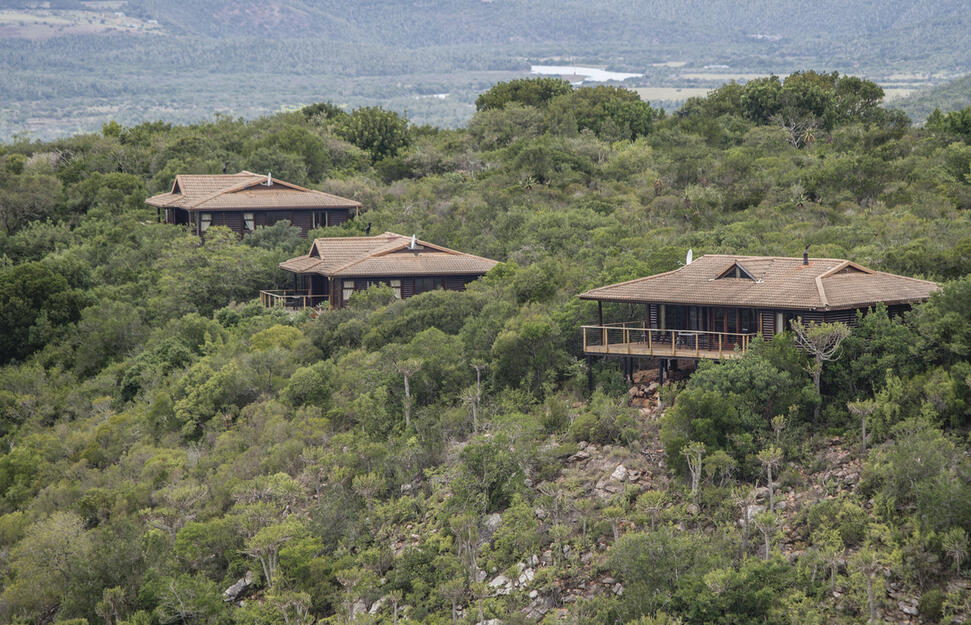 Kariega-Game-Reserve-1.jpg