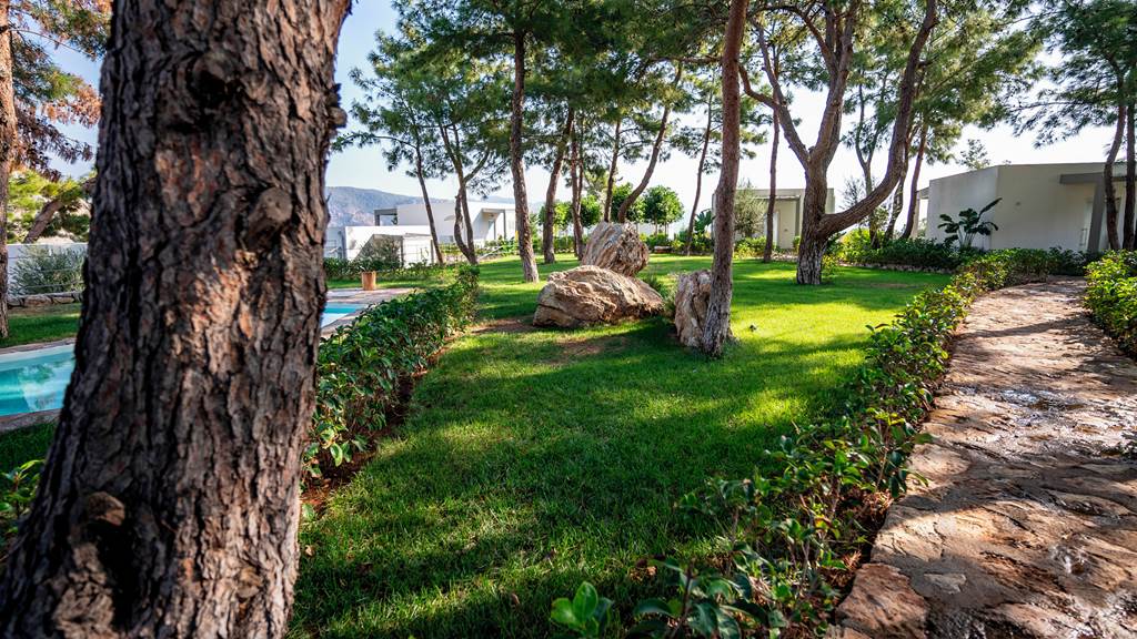 DLM_87881_Z_Villas_-_Family_Villa_with_Private_Pool_1124_19.jpg
