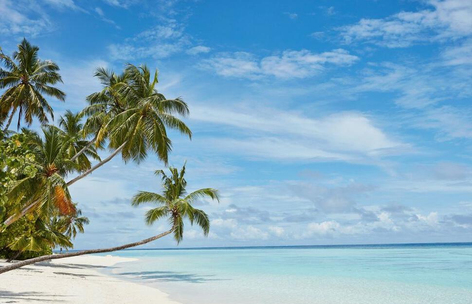 Sun-Siyam-Vilu-Reef-16.jpg