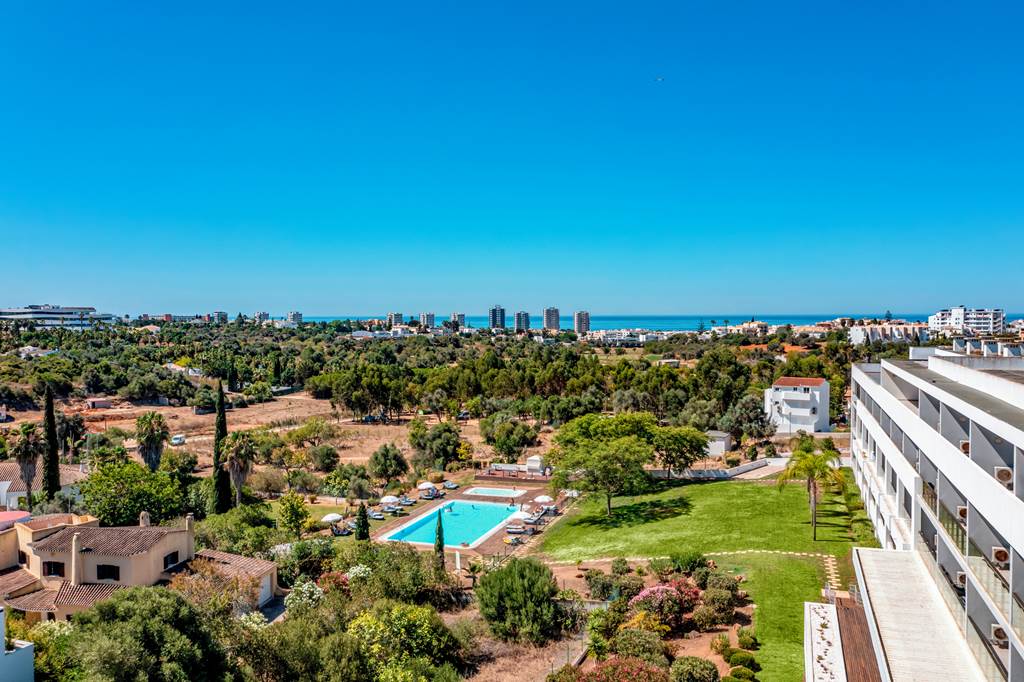 FAO_3492_Pelican_Alvor_0821_15.jpg