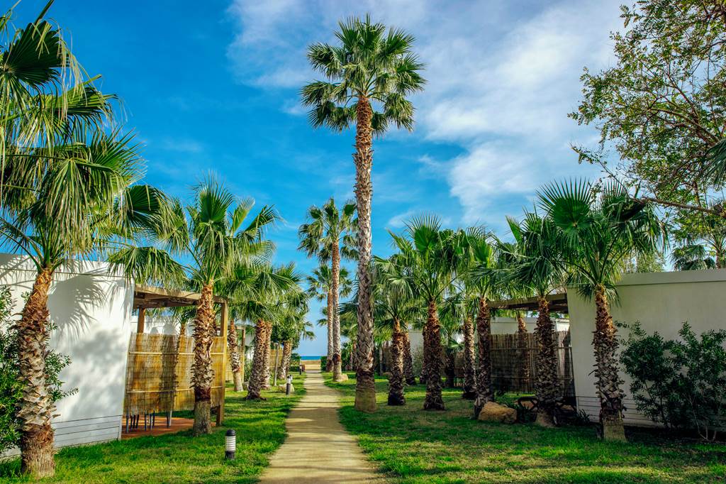 REU_80815_Alannia_Els_Prats_Camping_&_Resort_0124_10.jpg