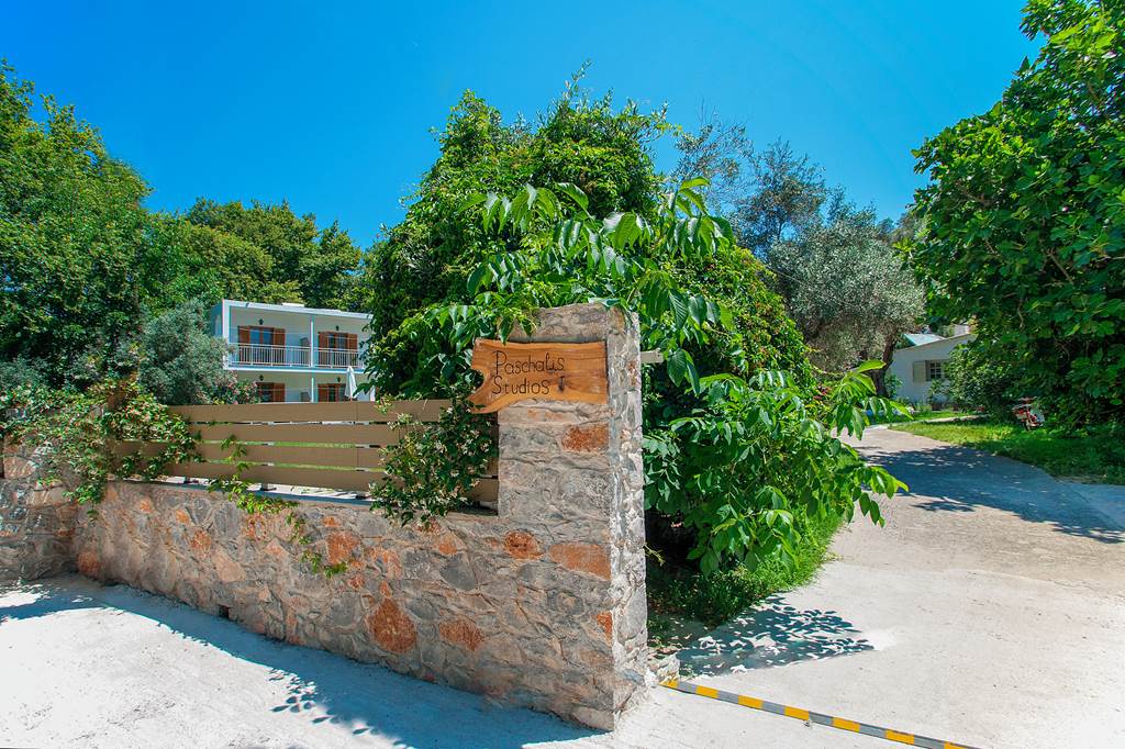 JSI_82674_Paschalis_Studios_0823_13.jpg