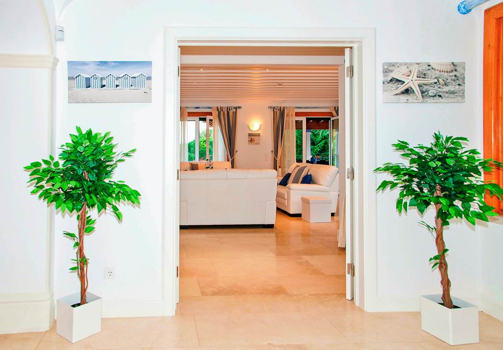 FAO_83972_Villa_Aksia_0722_08.jpg