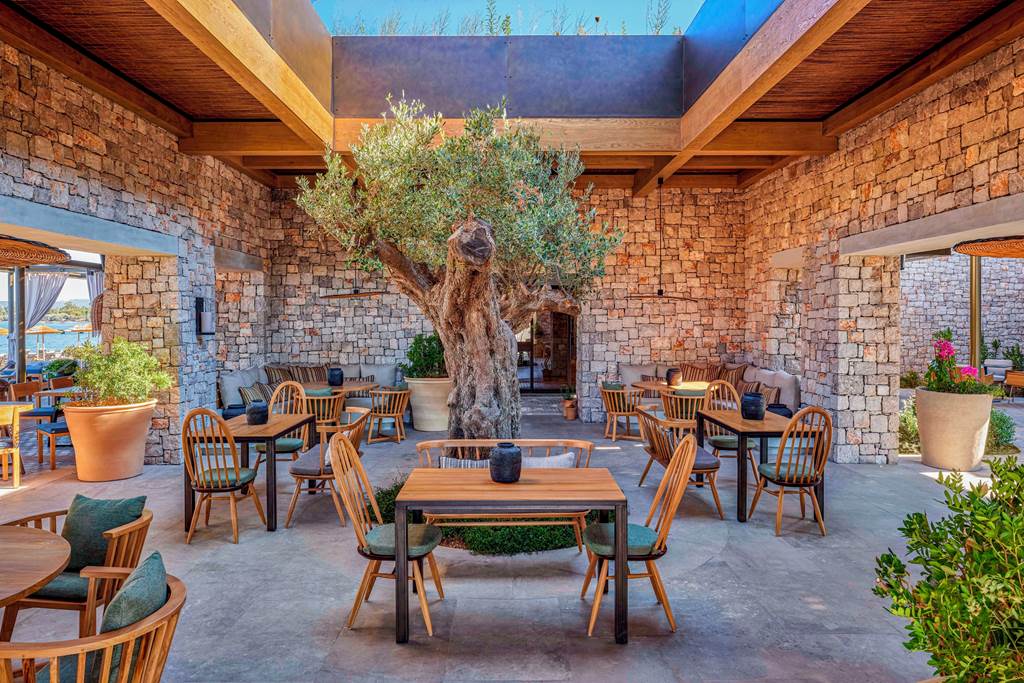 KLX_85207_W_Costa_Navarino_0323_25.jpg