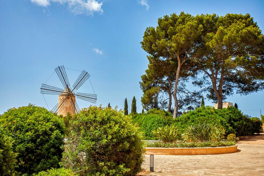 PMI_71360_Zoetry_Mallorca_1124_08.jpg