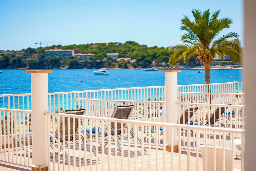 PMI_71162_Flamboyan_Caribe_1020_06.jpg