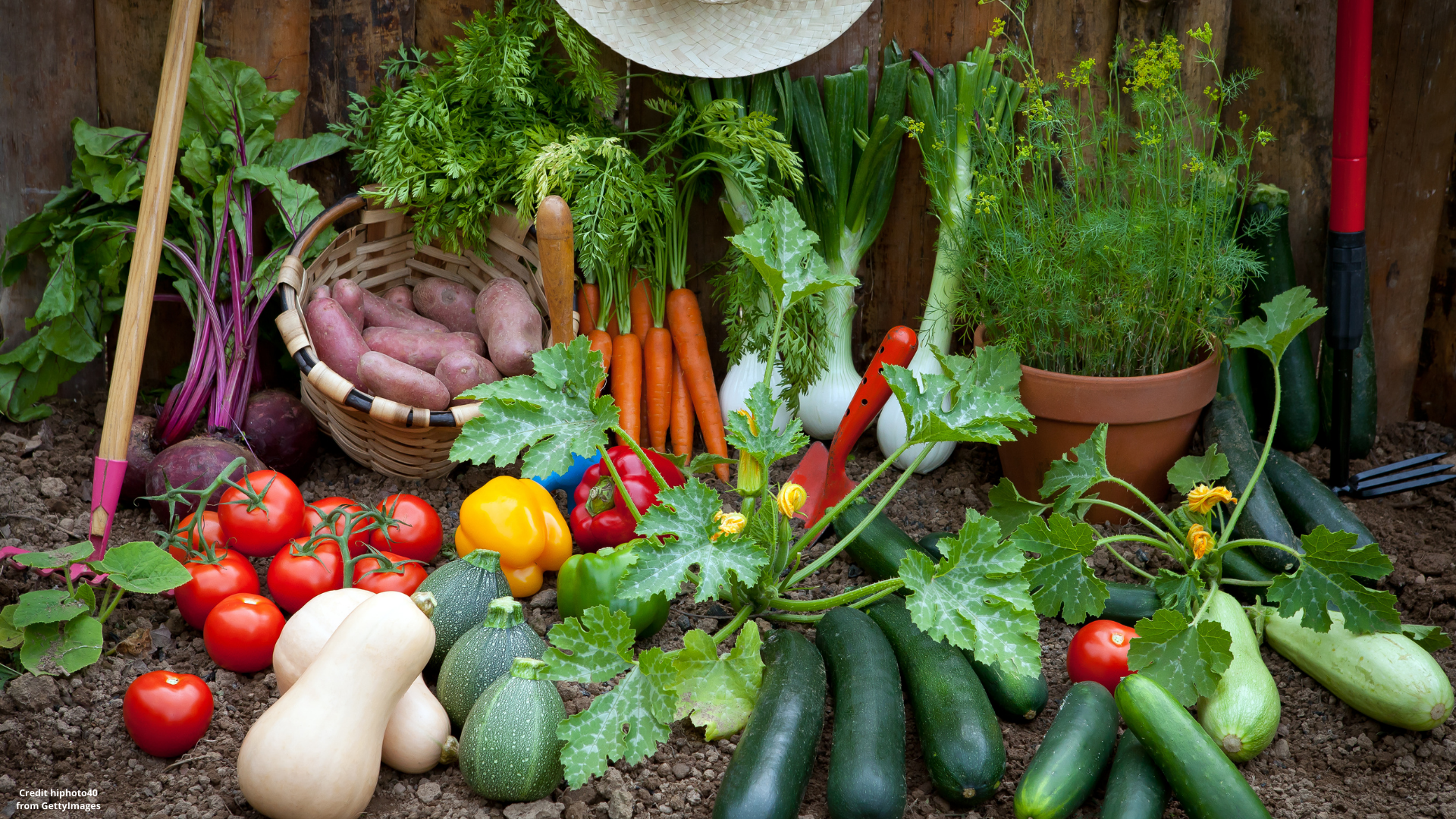 Online conference “Organic Day in Ukraine”
