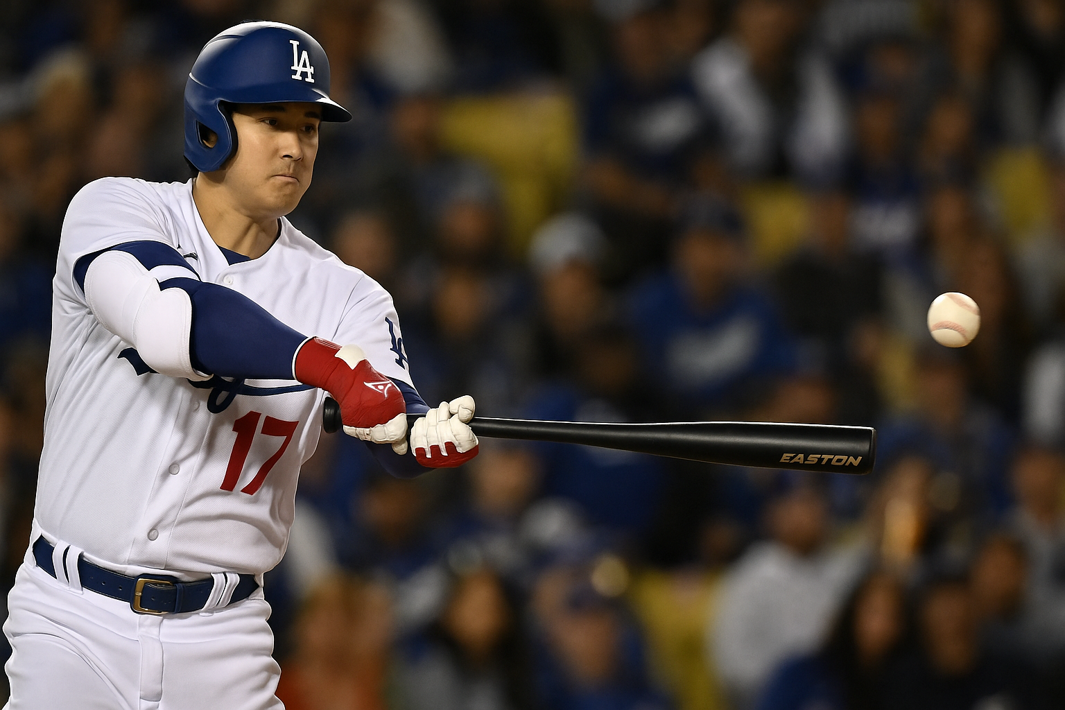 shohei ohtani