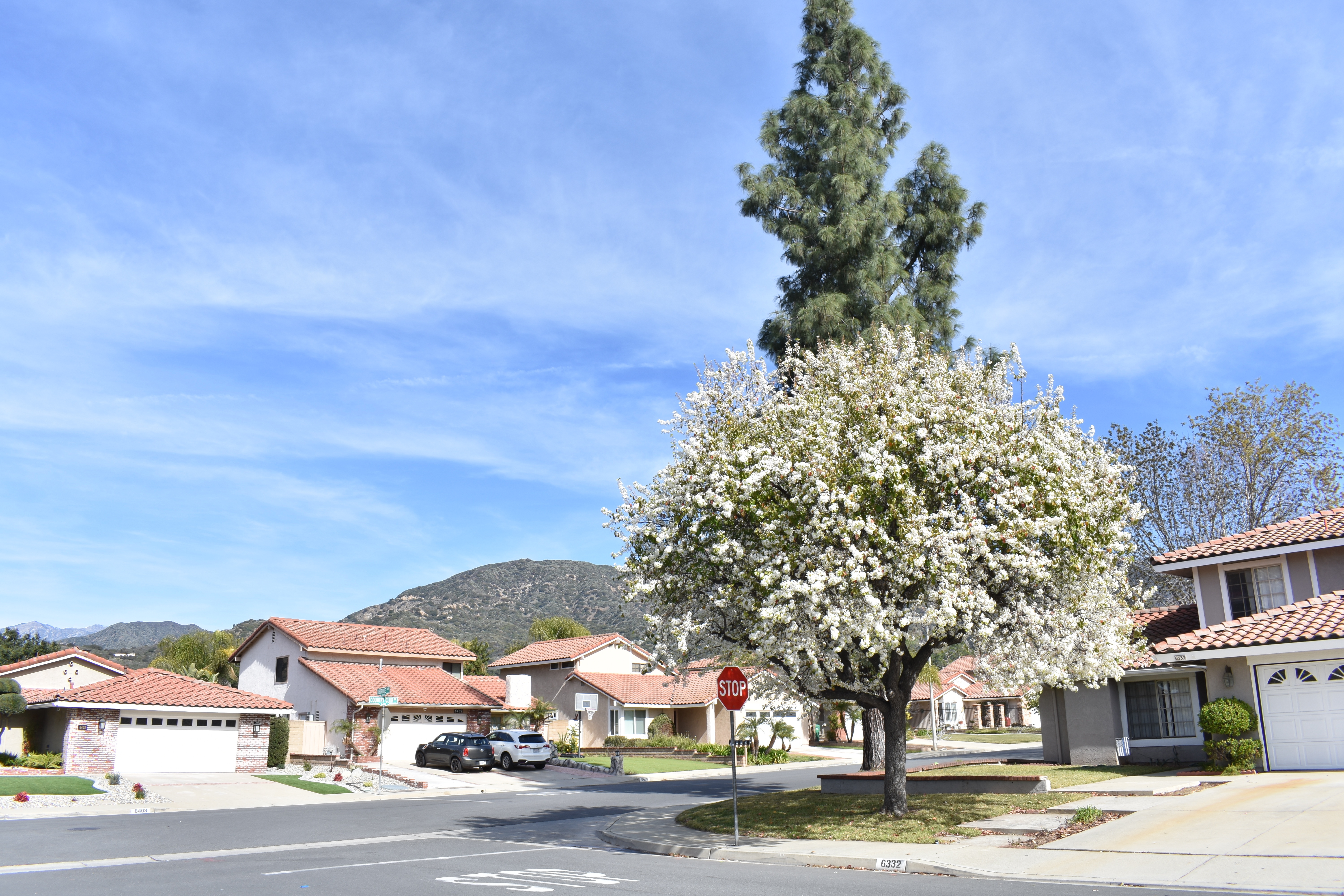 La Verne