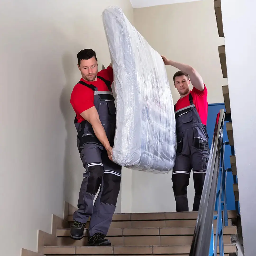 Find Removal Companies Near You Today | Profesh