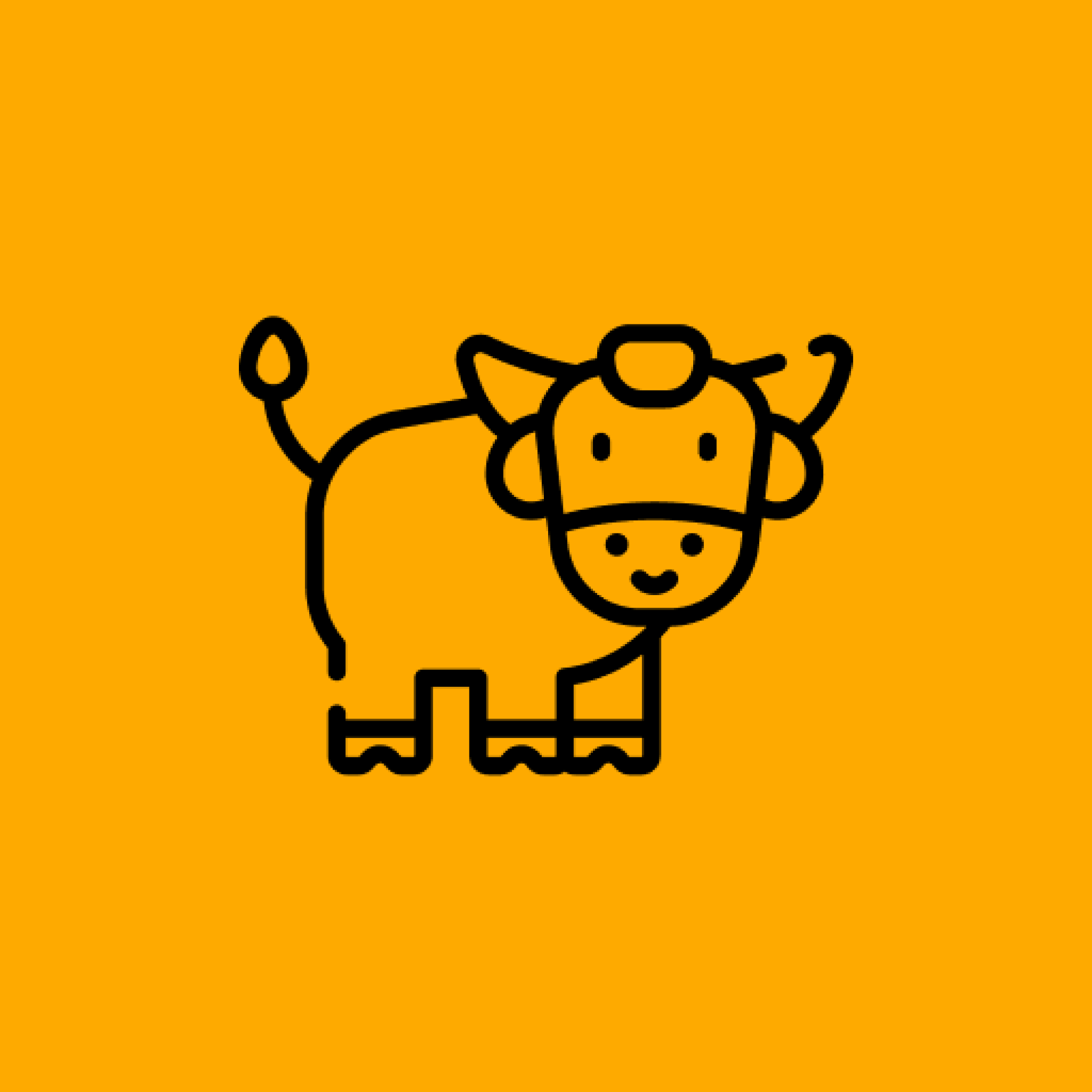 100 Animales: Be curious and ready to learn! 