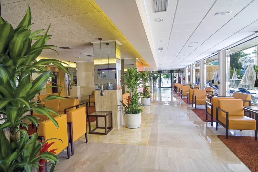 ALC_68640_SERV_ORANGE_0315_12.jpg