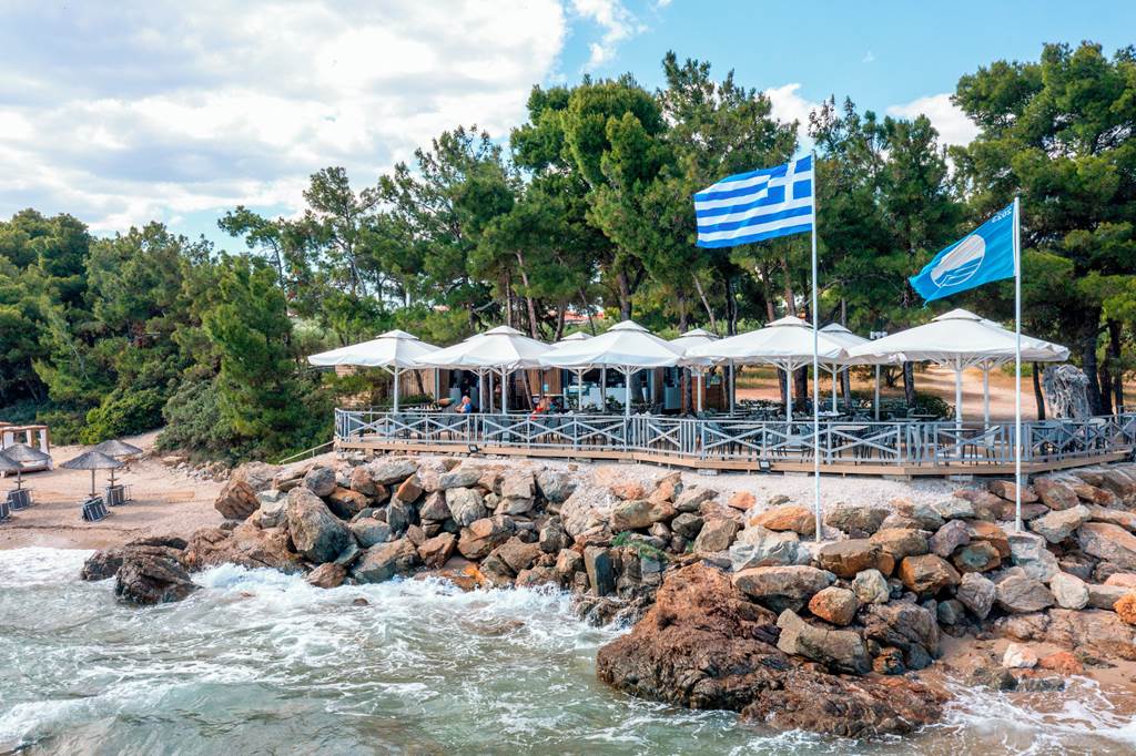 SKG_77332_Blue_Dolphin_Hotel_0624_04.jpg