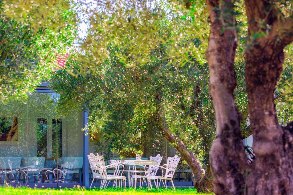 SKG_78726_Evripidis_Hotel_0523_05.jpg