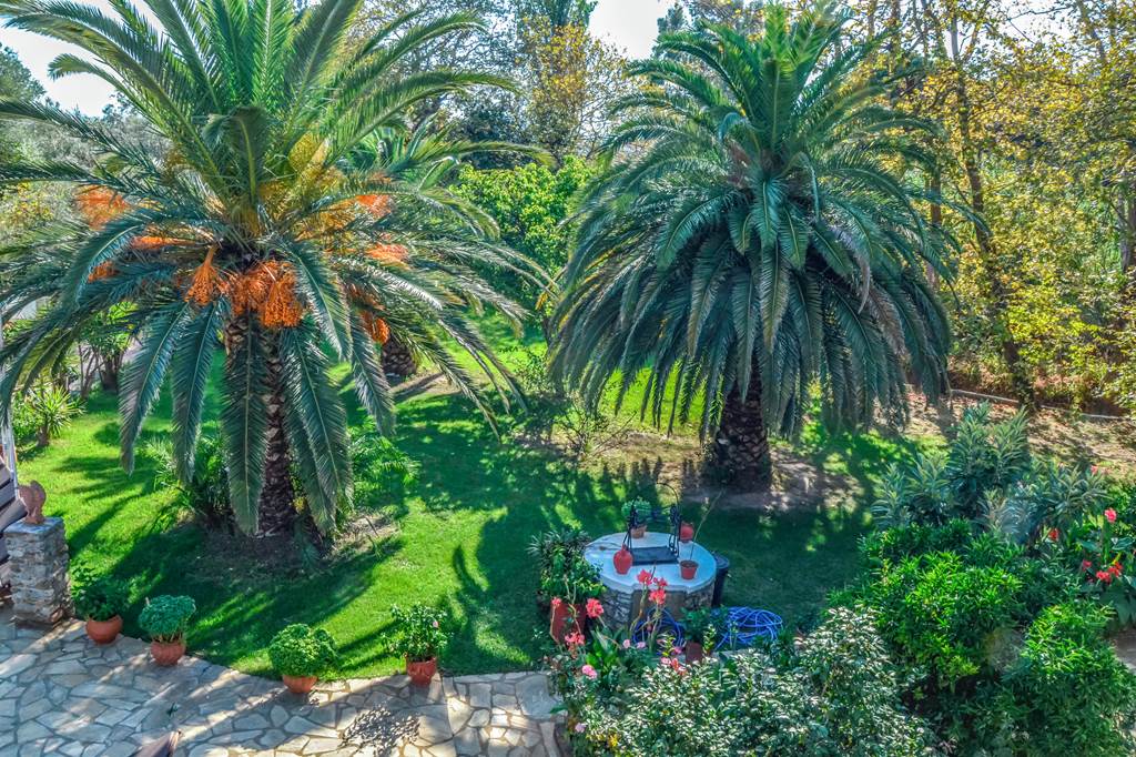 JSI_81242_Green_Park_1019_18.jpg