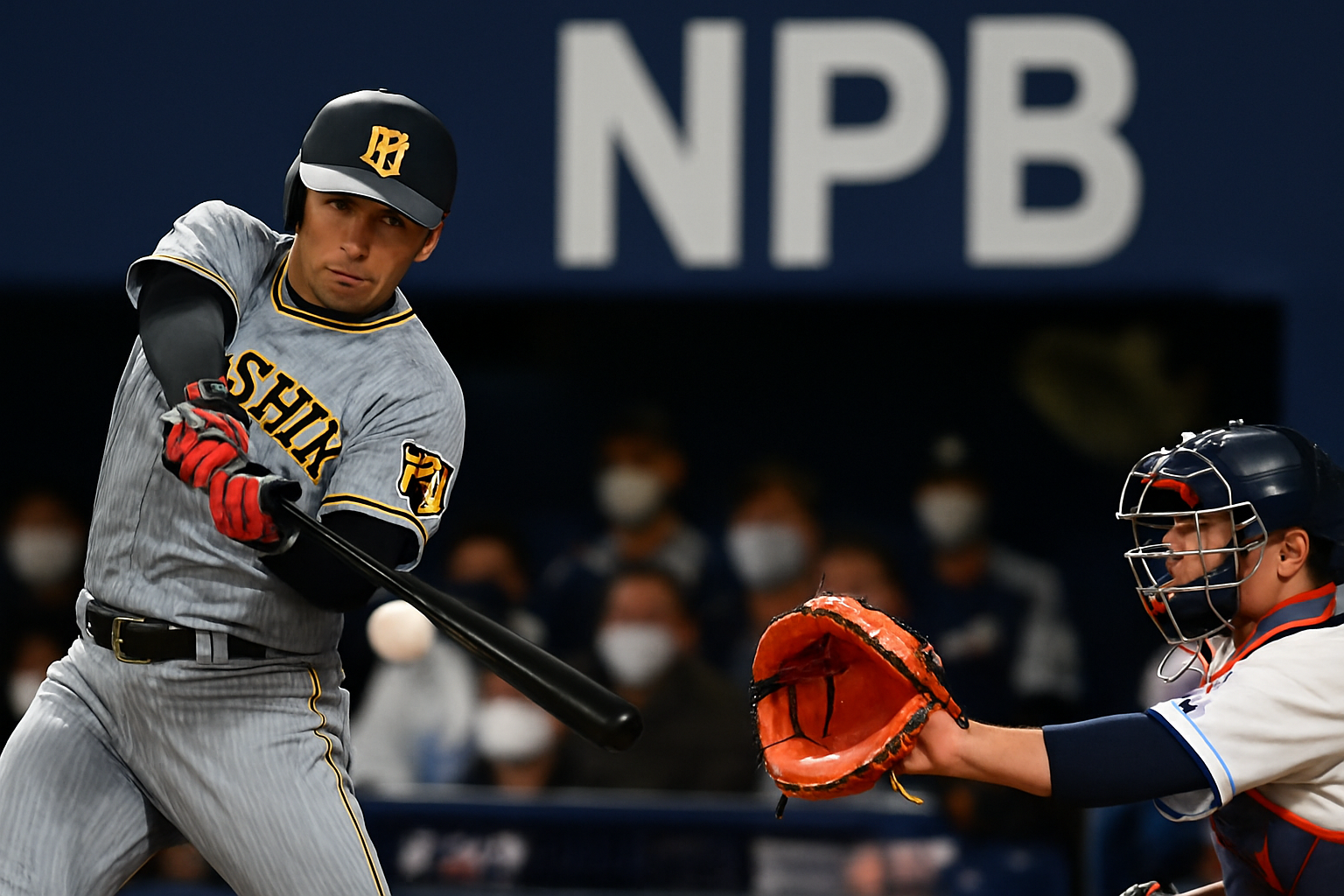 npb