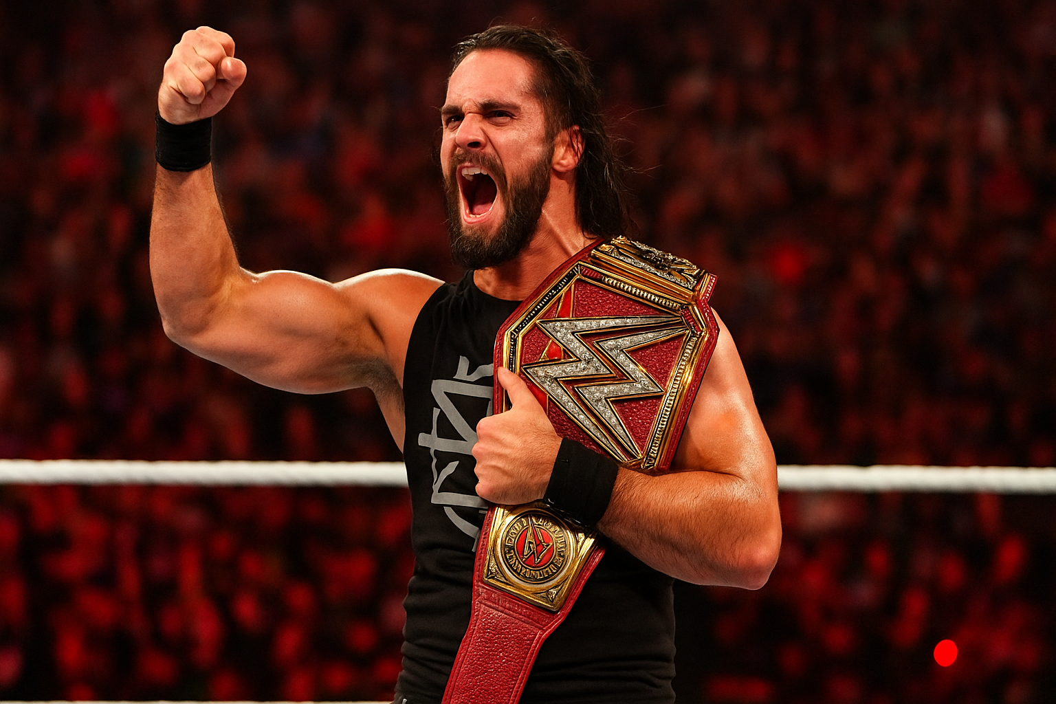 seth rollins