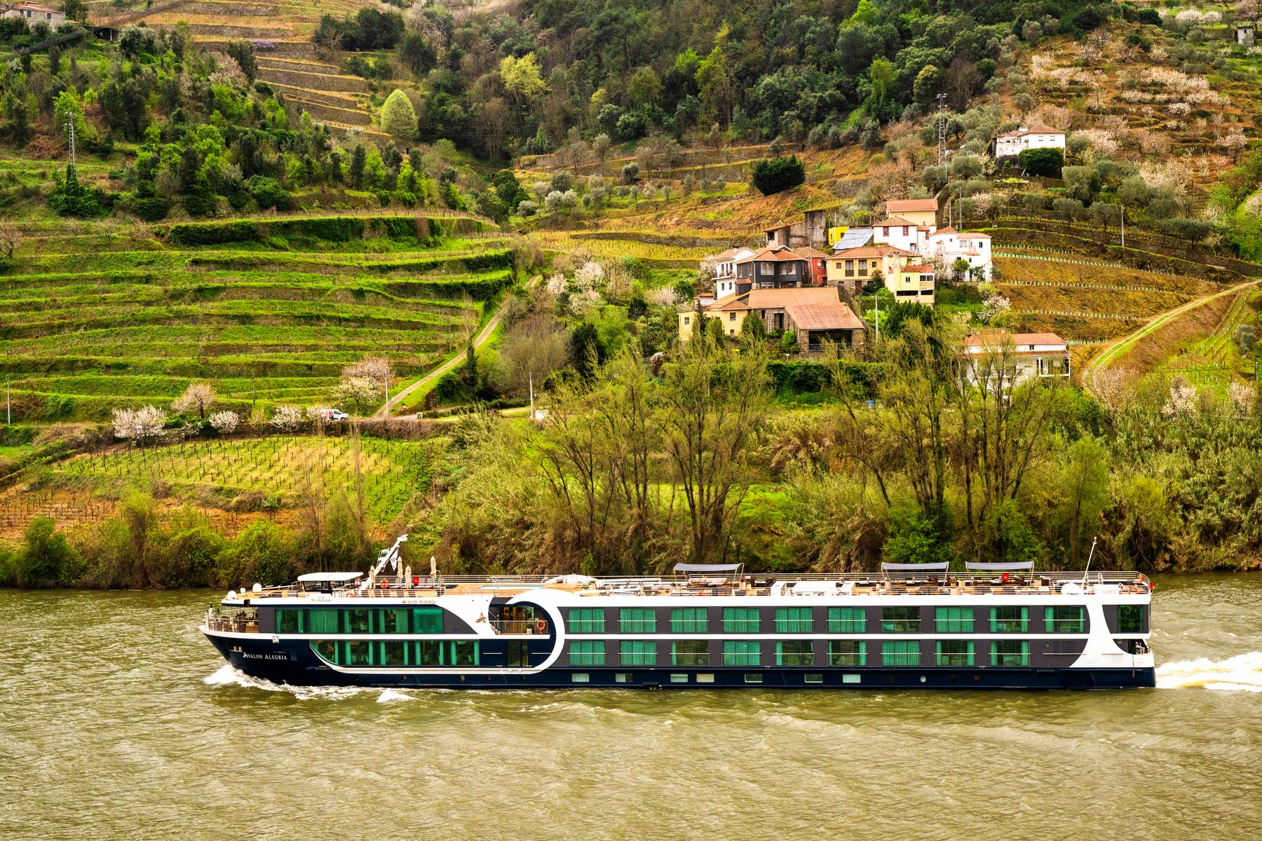 Avalon Alegria