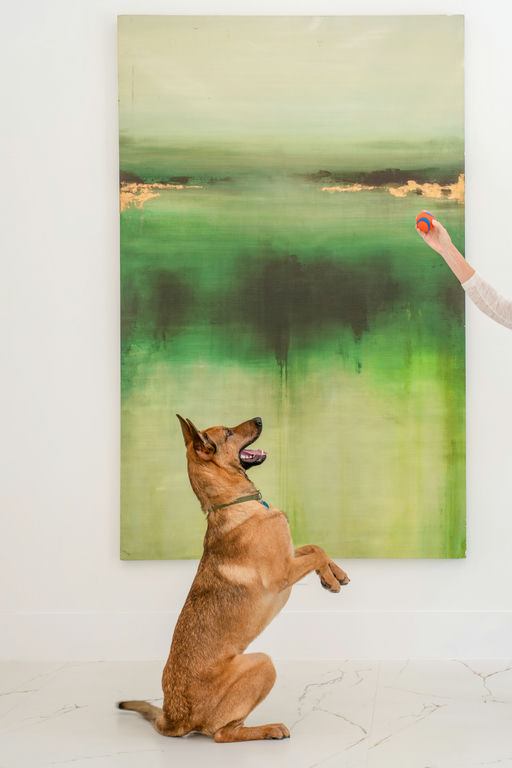 dogs - Duke Image 9