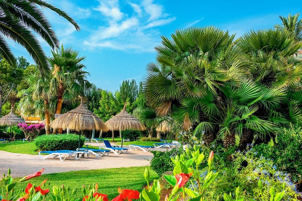PMI_70652_Siesta_Apts_0718_08.jpg