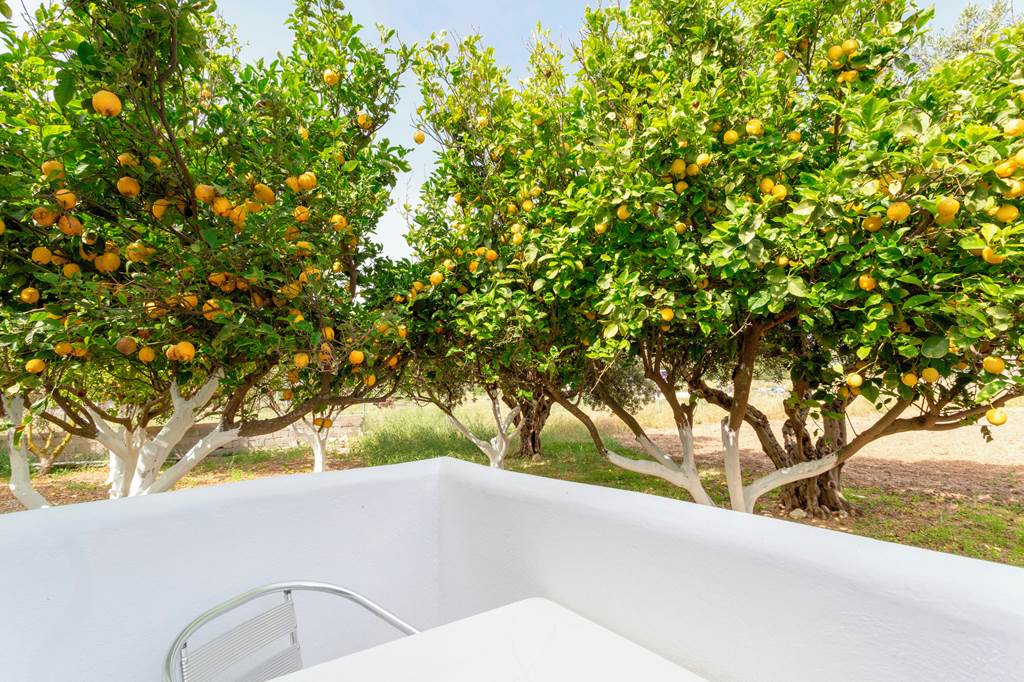KGS_70992_Nikos_II_Apartments_0519_14.jpg