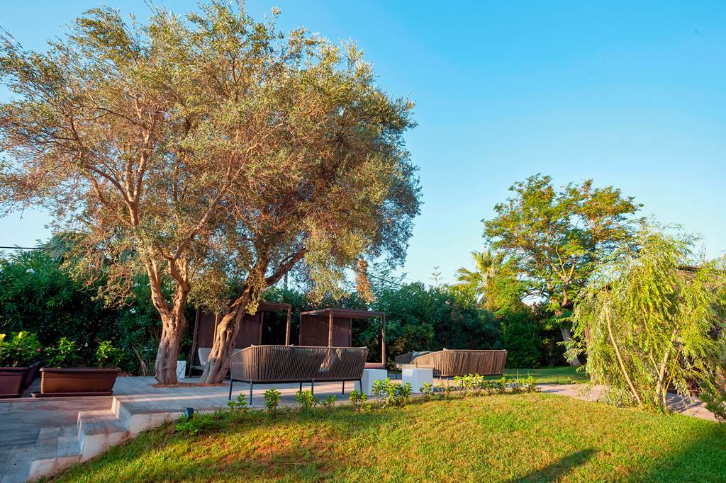 XXX_81182_Bahia_Pollensa_1019_25.jpg