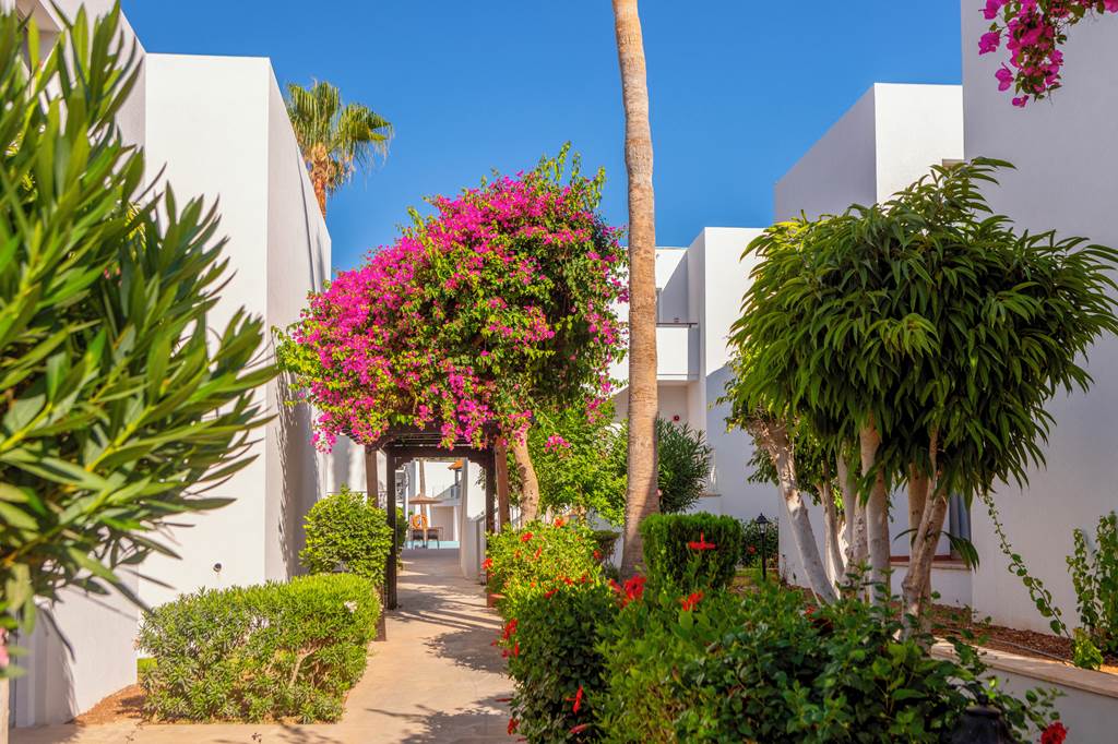 PFO_73049_Kapetanios_Aqua_Resort_0624_43.jpg