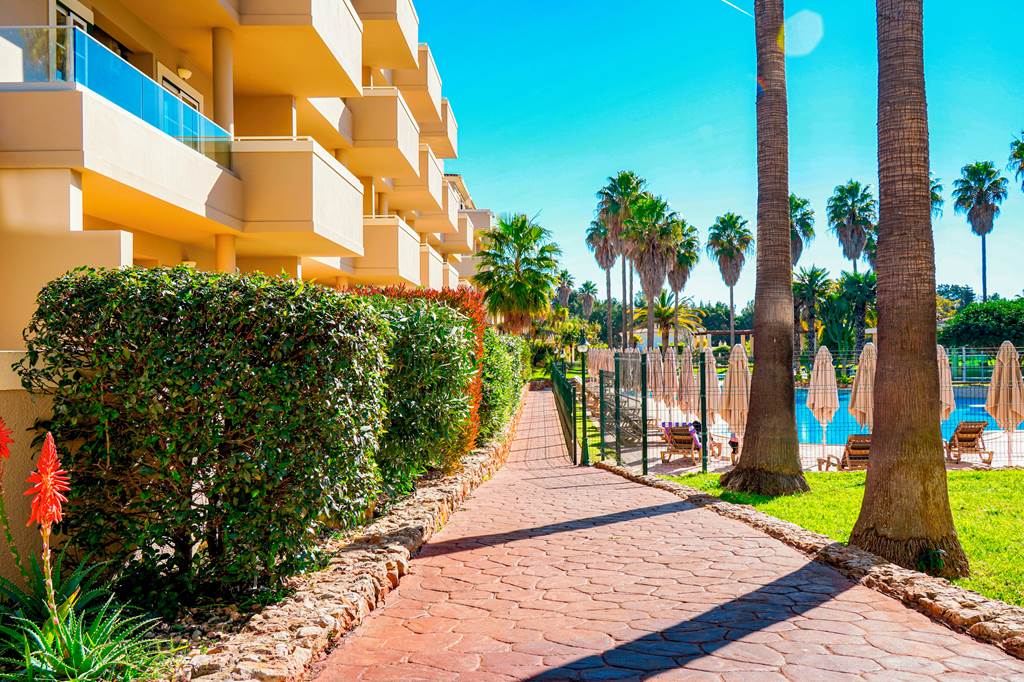 FAO_69567_Vitor's_Plaza_0524_18.jpg
